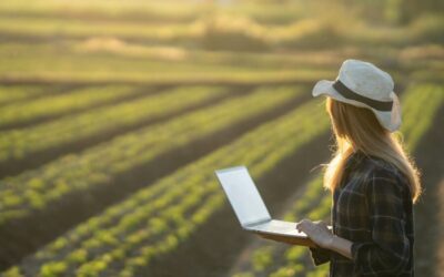 Client and Market Insights—Global Consulting Firm