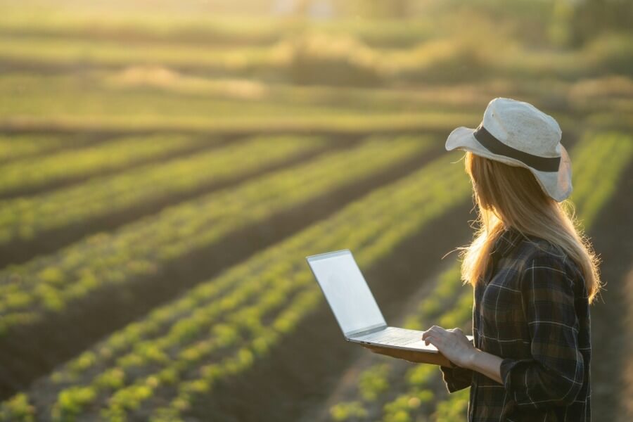 Client and Market Insights—Global Consulting Firm